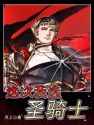 这次我选圣骑士 这次我选圣骑士