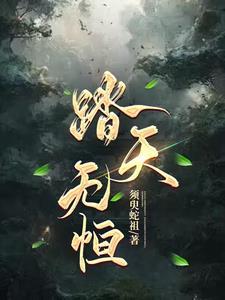 踏天无恒 踏天无恒