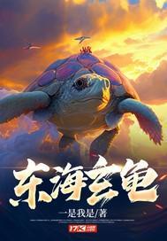 东海玄龟 东海玄龟